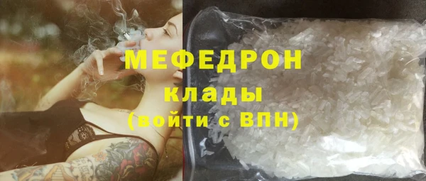 сатива Туринск