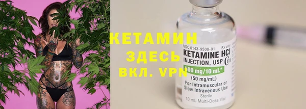 сатива Каменногорск