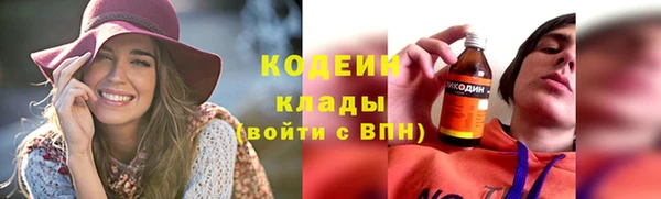 прущие грибы Каменск-Шахтинский