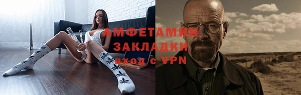 сатива Туринск