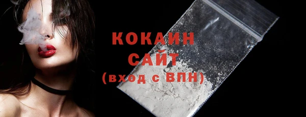 дживик Каменка