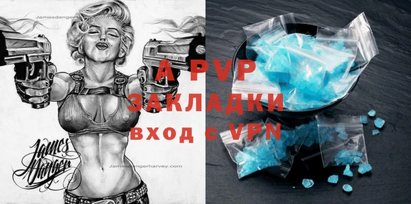 сатива Туринск