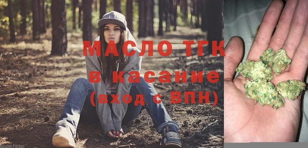 сатива Туринск