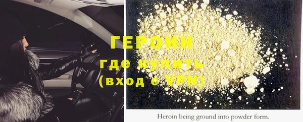 сатива Туринск