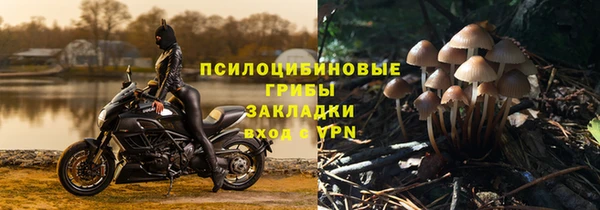 спиды Карталы