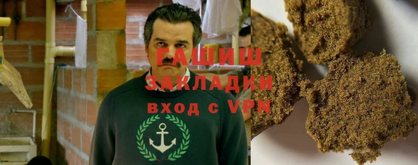 сатива Туринск