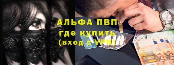 прущие грибы Каменск-Шахтинский